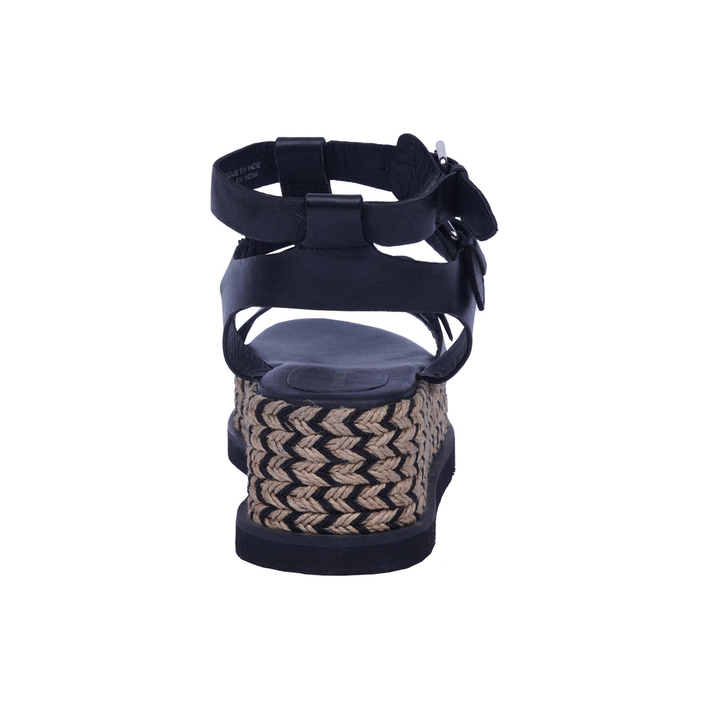 Ebon Elevate Gladiators