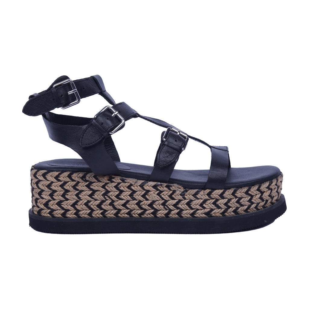 Ebon Elevate Gladiators