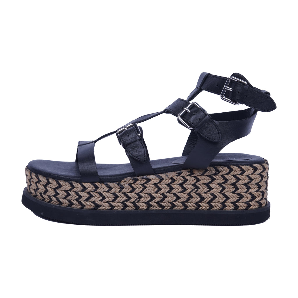 Ebon Elevate Gladiators